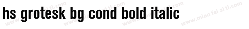 hs grotesk bg cond bold italic字体转换